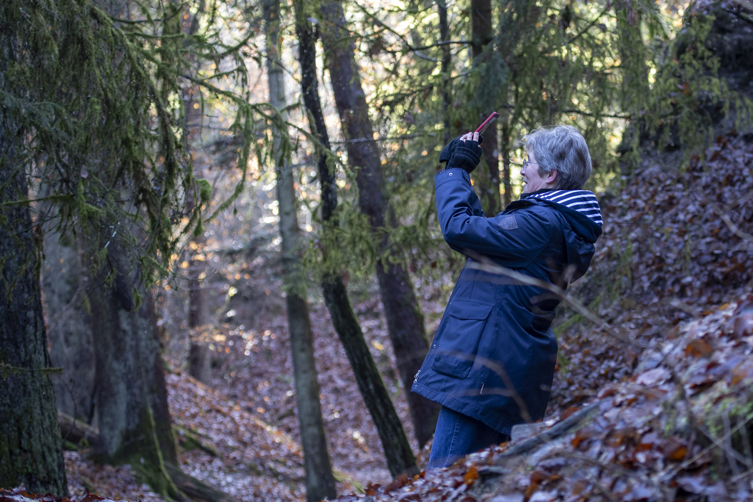 20251129121414 RD4 0752